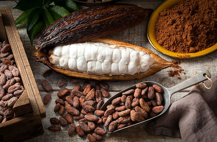 Benefits of Raw&nbsp;Cacao